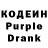 Codein Purple Drank Gulliver's Covers