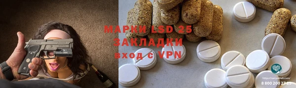 шишки Белокуриха