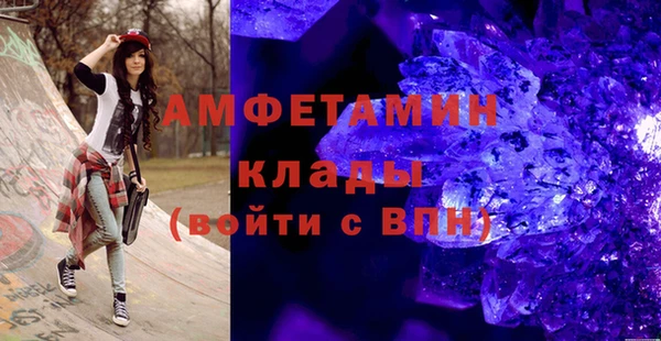 шишки Белокуриха