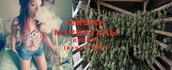 стаф Богородицк