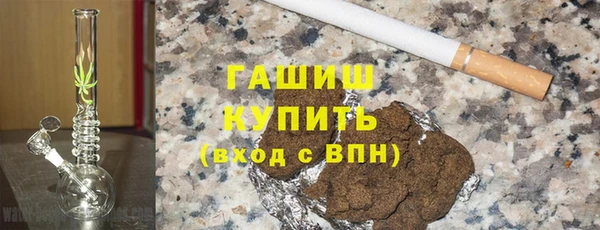 шишки Белокуриха