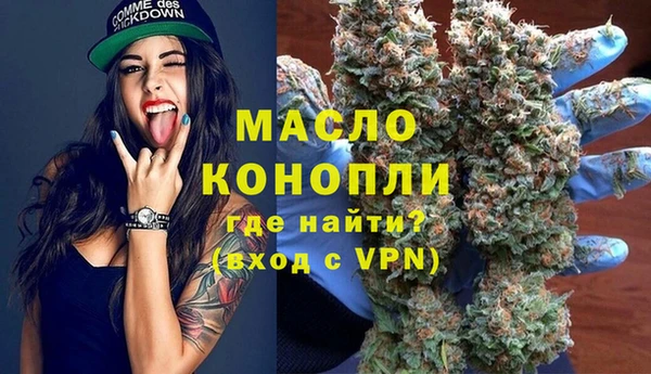 шишки Белокуриха