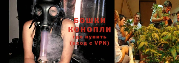 стаф Богородицк