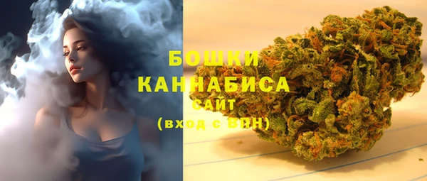 шишки Белокуриха