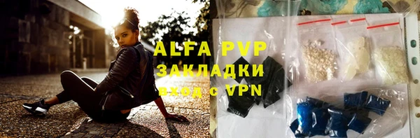 стаф Богородицк