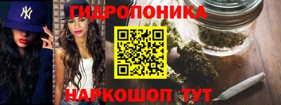 хмурый Малоярославец