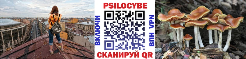цены   Горно-Алтайск  Псилоцибиновые грибы мицелий 
