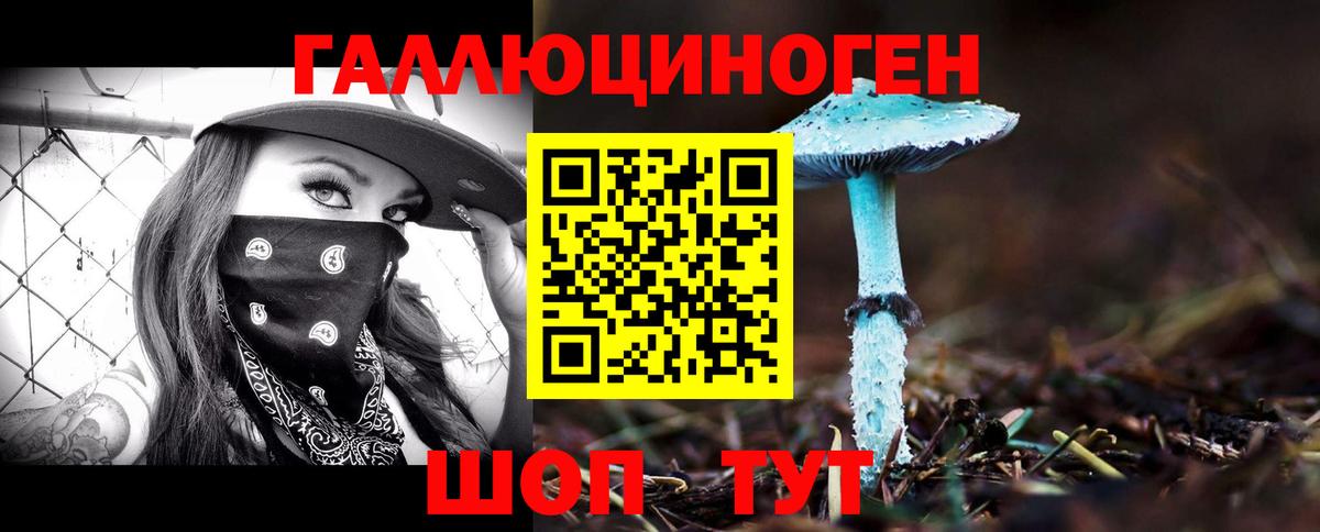 где найти наркотики  Вход с VPN  Псилоцибиновые грибы Psilocybe  Горно-Алтайск  Псилоцибиновые грибы мицелий 